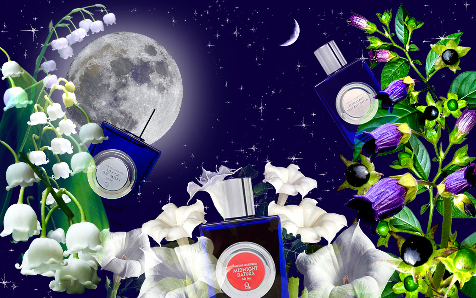SPELLBINDING FLORALS