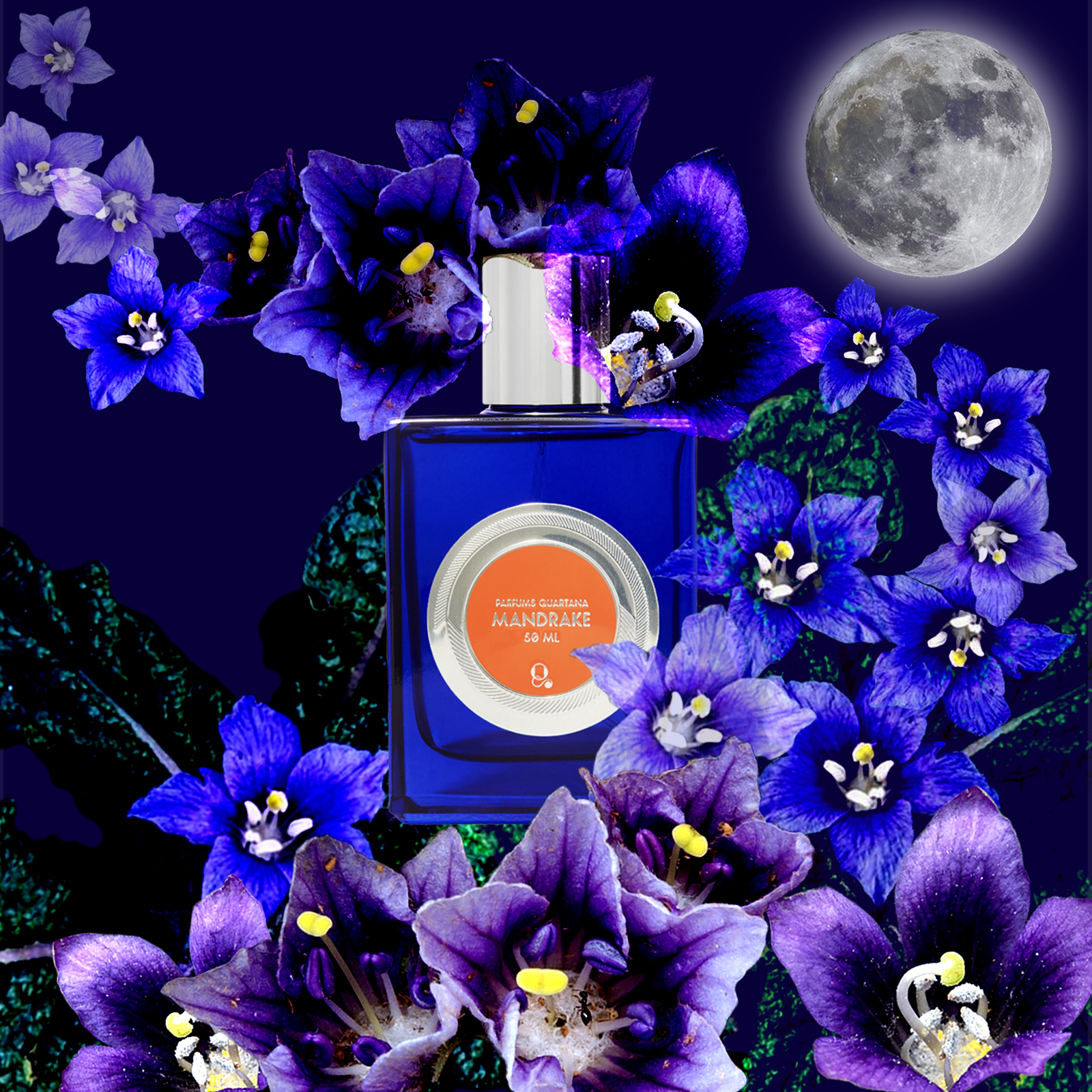 Mandrake - Parfums Quartana